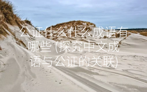 公证什么什么成语有哪些 (探究中文成语与公证的关联)