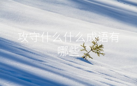 攻守什么什么成语有哪些