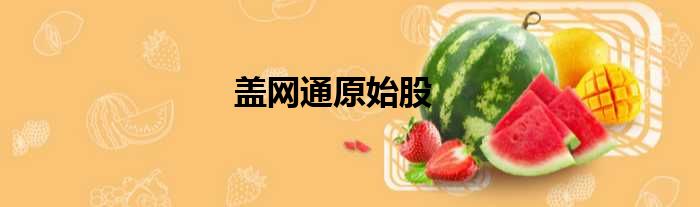 盖网通原始股