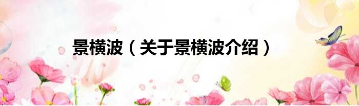 景横波 关于景横波介绍