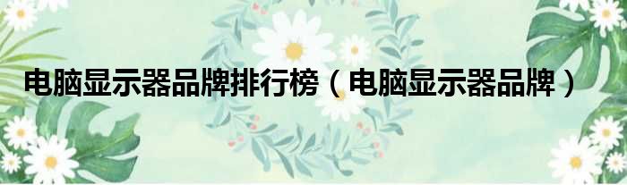 电脑显示器品牌排行榜 电脑显示器品牌