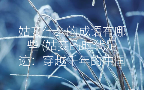 姑妾什么的成语有哪些 (姑妾的时代足迹：穿越千年的中国女性文化体验)