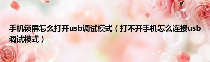 手机锁屏怎么打开usb调试模式 打不开手机怎么连接usb调试模式
