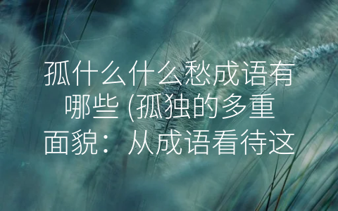 孤什么什么愁成语有哪些 (孤独的多重面貌：从成语看待这个问题)