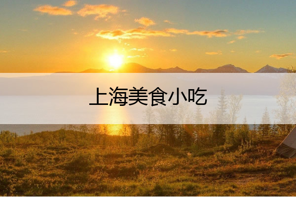上海美食小吃 上海美食小吃店