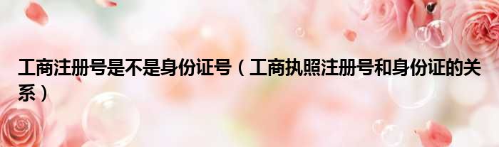 工商注册号是不是身份证号 工商执照注册号和身份证的关系