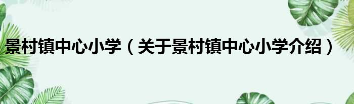 景村镇中心小学 关于景村镇中心小学介绍