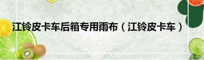 江铃皮卡车后箱专用雨布 江铃皮卡车