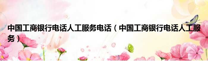 中国工商银行电话人工服务电话 中国工商银行电话人工服务