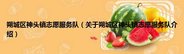 朔城区神头镇志愿服务队 关于朔城区神头镇志愿服务队介绍