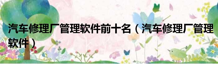 汽车修理厂管理软件前十名 汽车修理厂管理软件