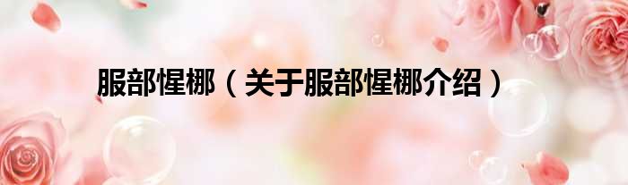 服部惺梛 关于服部惺梛介绍