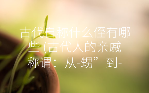 古代自称什么侄有哪些 (古代人的亲戚称谓：从-甥”到-女女”)