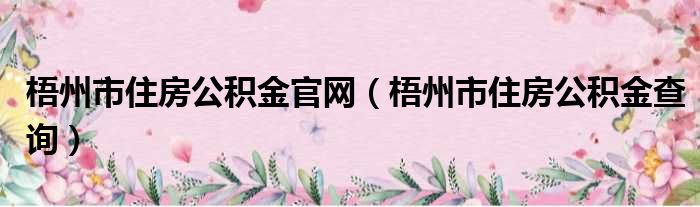 梧州市住房公积金官网 梧州市住房公积金查询