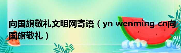 向国旗敬礼文明网寄语 yn wenming cn向国旗敬礼