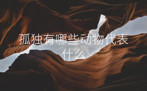 孤独有哪些动物代表什么