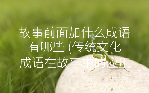 故事前面加什么成语有哪些 (传统文化成语在故事中的应用)