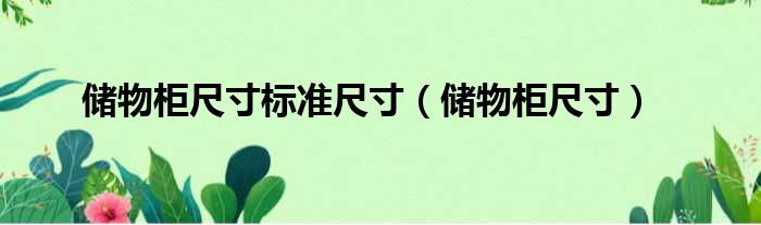 储物柜尺寸标准尺寸 储物柜尺寸