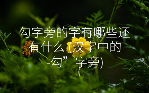 勾字旁的字有哪些还有什么 (汉字中的-勾”字旁)
