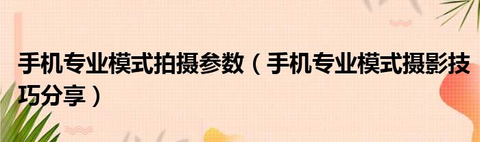 手机专业模式拍摄参数 手机专业模式摄影技巧分享