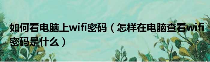 如何看电脑上wifi密码 怎样在电脑查看wifi密码是什么
