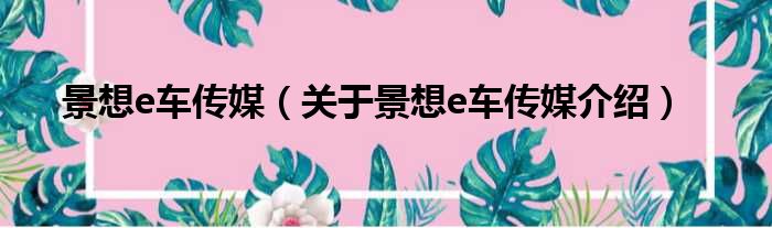 景想e车传媒 关于景想e车传媒介绍