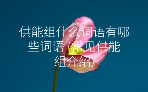 供能组什么词语有哪些词语 (常见供能组介绍)