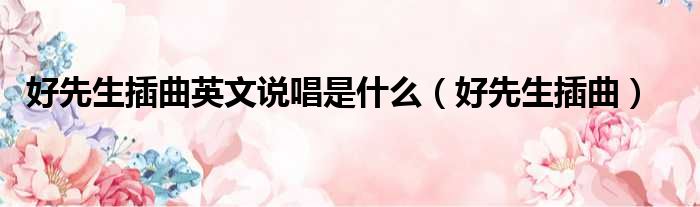 好先生插曲英文说唱是什么 好先生插曲