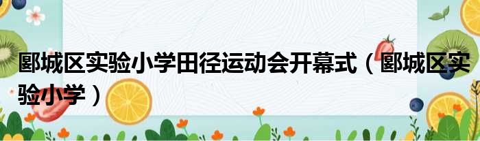 郾城区实验小学田径运动会开幕式 郾城区实验小学