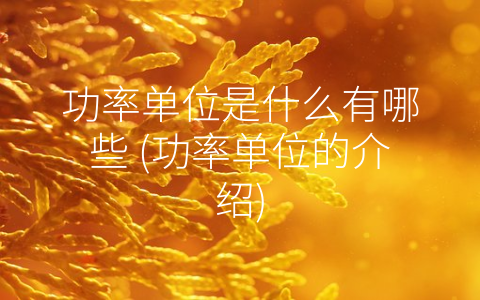功率单位是什么有哪些 (功率单位的介绍)