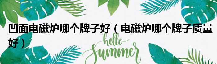 凹面电磁炉哪个牌子好 电磁炉哪个牌子质量好