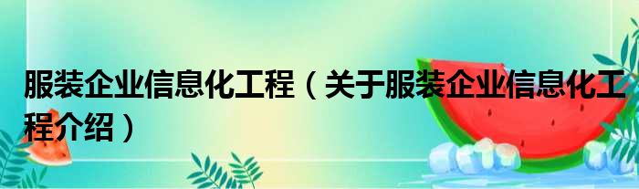 服装企业信息化工程 关于服装企业信息化工程介绍