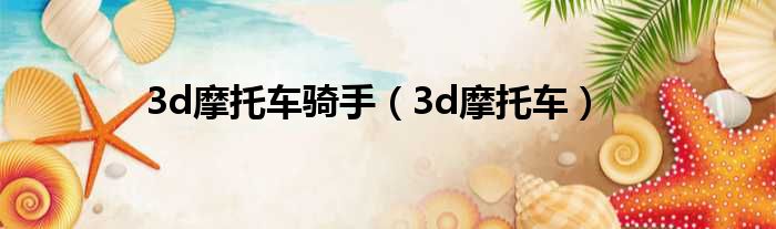 3d摩托车骑手 3d摩托车