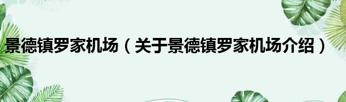 景德镇罗家机场 关于景德镇罗家机场介绍