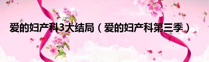 爱的妇产科3大结局 爱的妇产科第三季