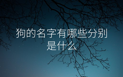 狗的名字有哪些分别是什么