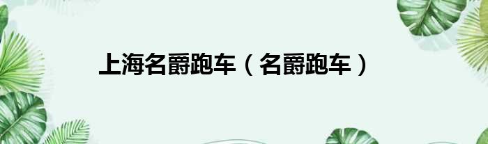 上海名爵跑车 名爵跑车