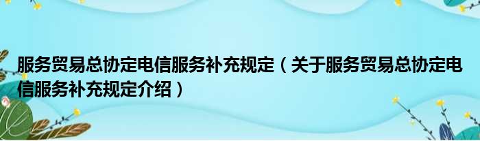 服务贸易总协定电信服务补充规定 关于服务贸易总协定电信服务补充规定介绍