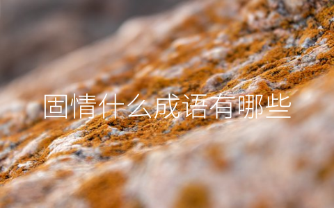固情什么成语有哪些