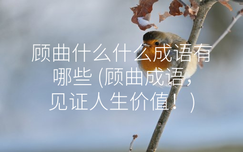 顾曲什么什么成语有哪些 (顾曲成语，见证人生价值！)