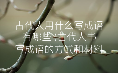古代人用什么写成语有哪些 (古代人书写成语的方式和材料)