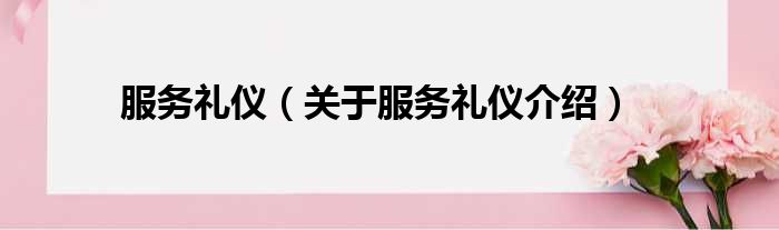 服务礼仪 关于服务礼仪介绍