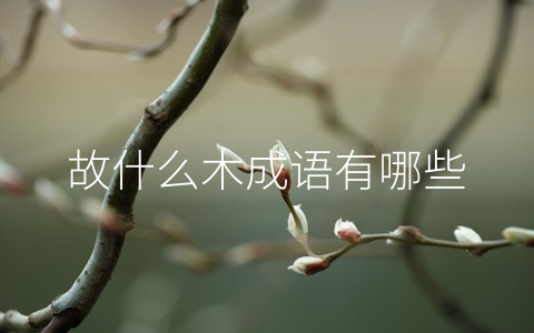 故什么木成语有哪些