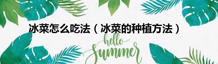 冰菜怎么吃法 冰菜的种植方法