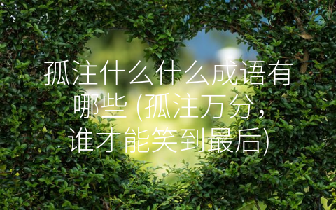 孤注什么什么成语有哪些 (孤注万分，谁才能笑到最后)