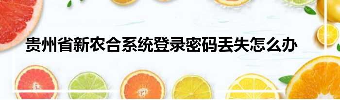 贵州省新农合系统登录密码丢失怎么办