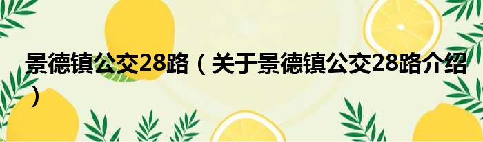 景德镇公交28路 关于景德镇公交28路介绍