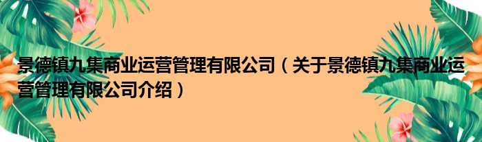景德镇九集商业运营管理有限公司 关于景德镇九集商业运营管理有限公司介绍