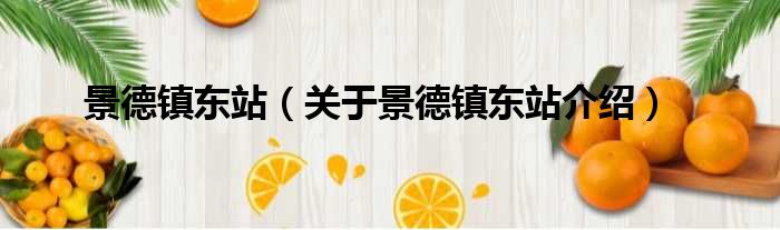 景德镇东站 关于景德镇东站介绍