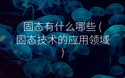 固态有什么哪些 (固态技术的应用领域)